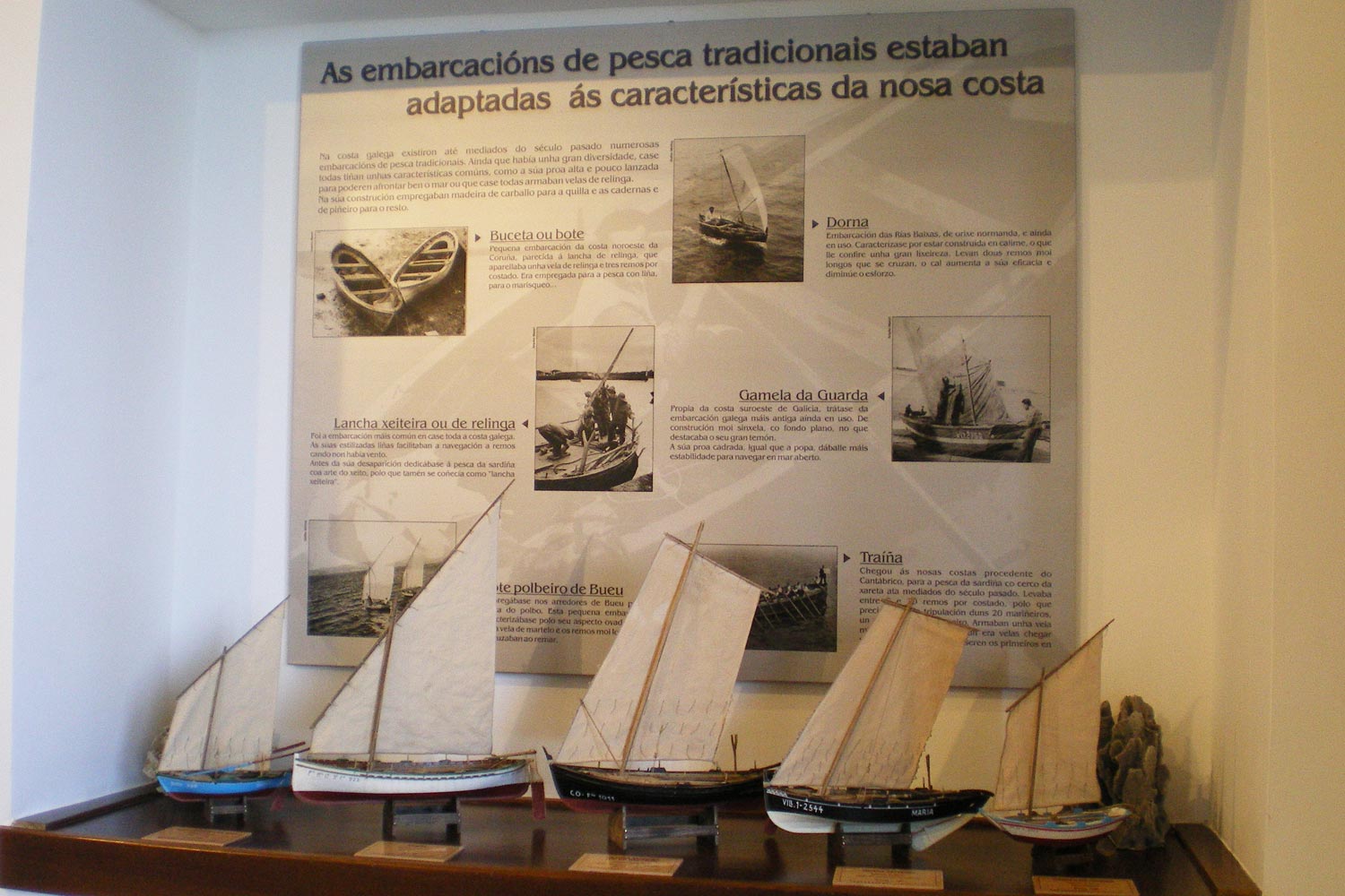 Museo da pesca