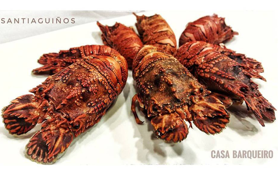 Casa Barqueiro