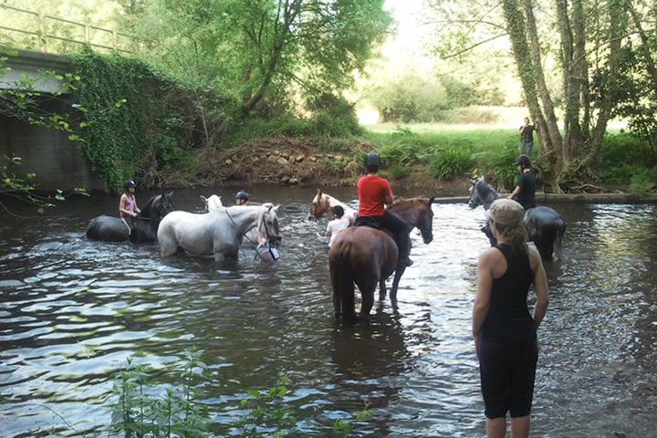 Paseo a caballo