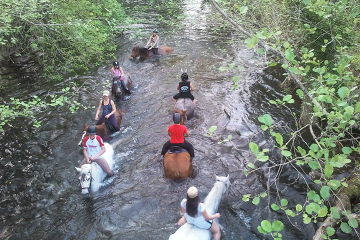 Paseo a caballo