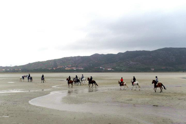 Paseo a caballo