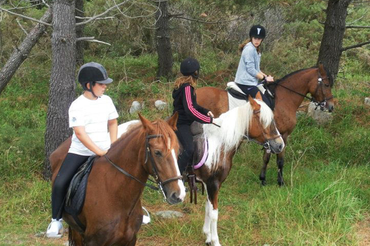 Paseo a caballo