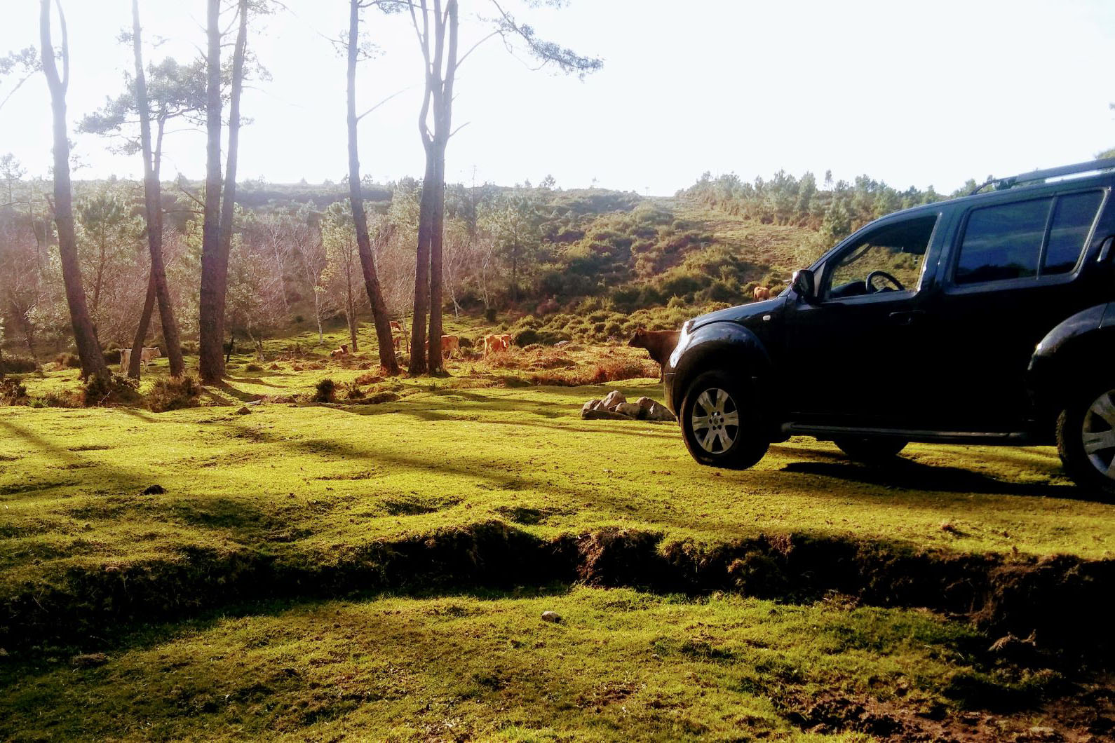 Sendeirismo en Monte Pindo