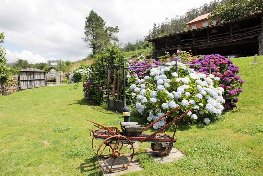 Jard�n Casa Perfeuto Mar�a