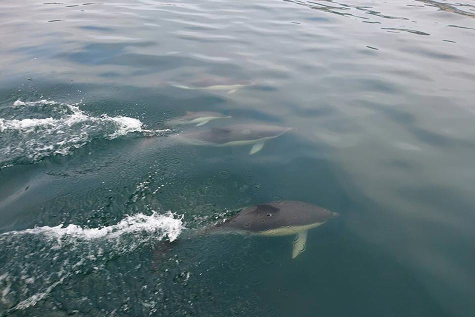 Paseo en barco